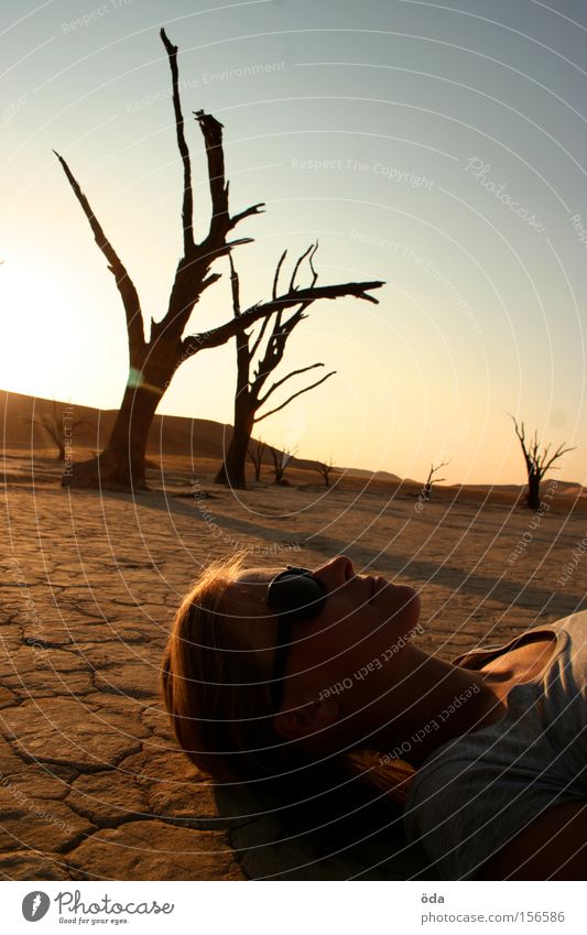 Licht und Schatten Wüste Baum trocken Zweig Ast Tod Namibia Einsamkeit Dead Vlei Sonnenuntergang Umweltverschmutzung Afrika