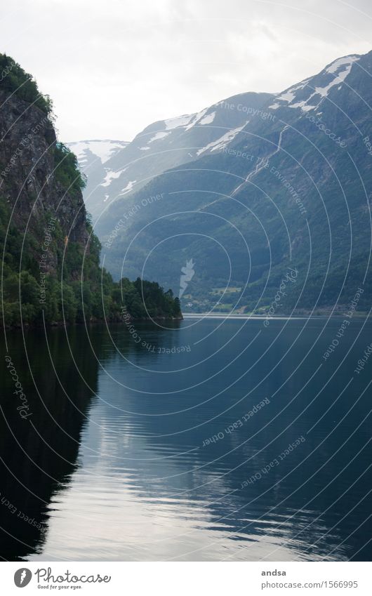 Blick auf einen Fjord in Norwegen Wasser Berge u. Gebirge Skandinavien Meer Idylle Spiegelung Spiegelung im Wasser Landschaft Natur menschenleer Wald Wälder