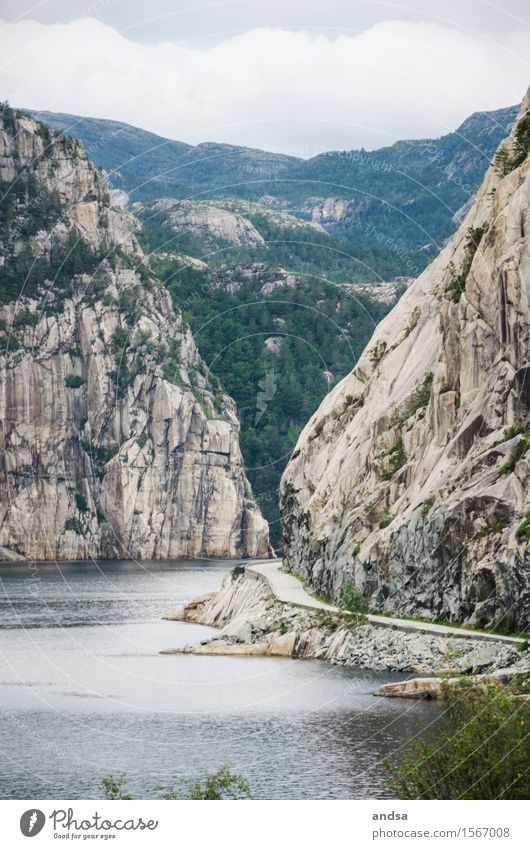Einsame Straße an einem Fjord einsam Wasser Kliff Kliffküste Berge u. Gebirge Norwegen Landschaft Skandinavien Außenaufnahme menschenleer Reise Meer Fels Felsen
