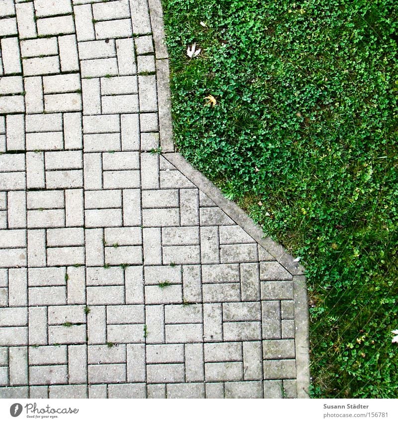 Grünstreifen grün Wiese Wege & Pfade Stein Blühend Hof Müll trist normal Langeweile Linie gerade Wachstum wild Verkehrswege einheitlich strange