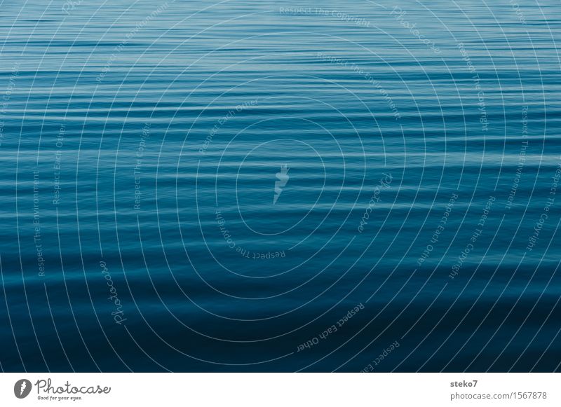 Belag der Magellanstrasse Wasser Meer Unendlichkeit weich blau ruhig Erholung Farbe Ferne Windstille sanft Menschenleer Textfreiraum links Textfreiraum rechts