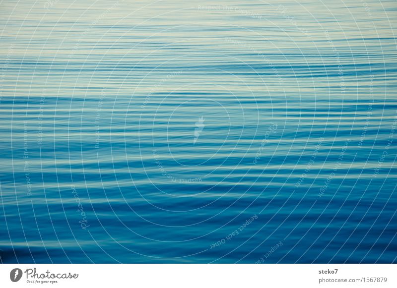 Belag der Magellanstrasse Schönes Wetter Meer Pazifik Unendlichkeit weich blau ruhig Windstille Erholung Außenaufnahme Menschenleer Textfreiraum links