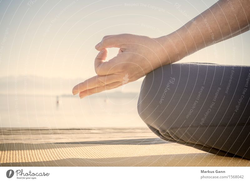 Meditation am See Lifestyle Yoga Mensch Frau Erwachsene Hand Fitness sitzen Finger Erholung Außenaufnahme Nahaufnahme