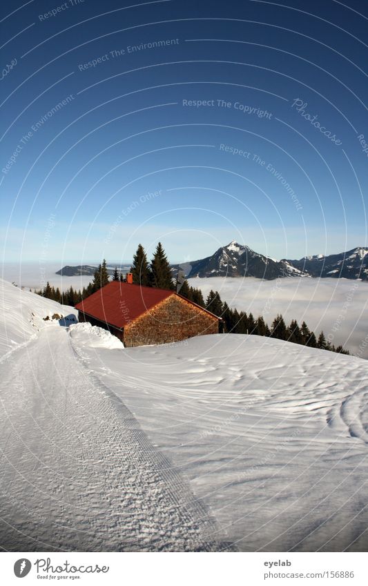 Hüttenzauber Berge u. Gebirge Wald Baum Himmel Winter Berghütte Holz Wege & Pfade Schnee Fußweg Wolken Nebel Tal
