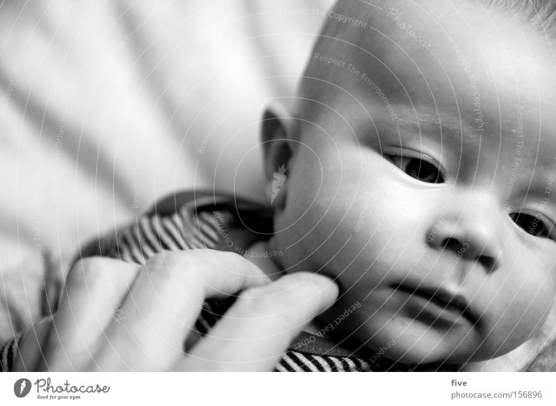 Kontaktaufnahme Freude Gesicht Kind Mensch Baby Kleinkind Eltern Erwachsene Familie & Verwandtschaft Kopf Auge Hand berühren Zärtlichkeiten Schwarzweißfoto