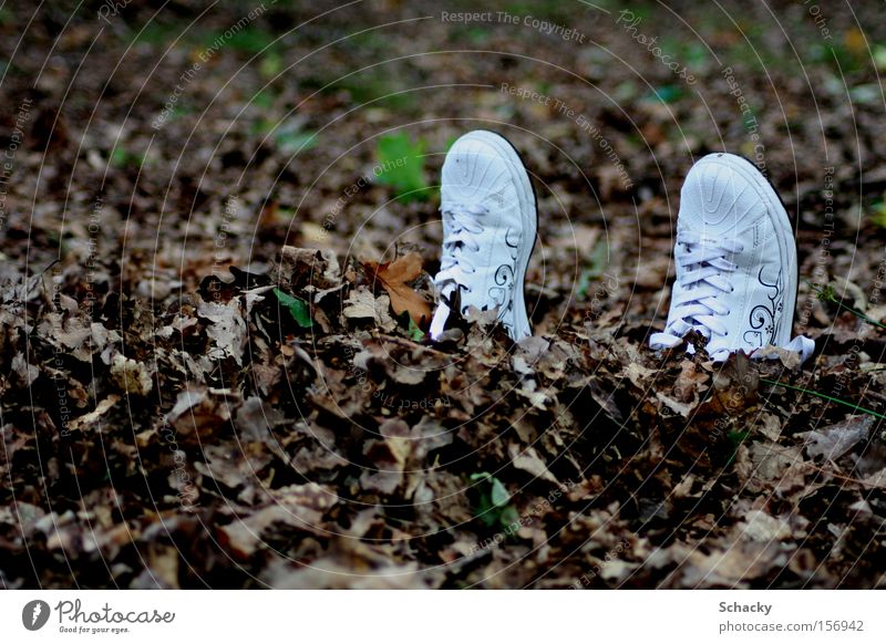 Alleingang Schuhe Blatt verstecken Angst Flucht Freiheit Einsamkeit Spaziergang Herbst Zufluchtsort vergessen Sehnsucht