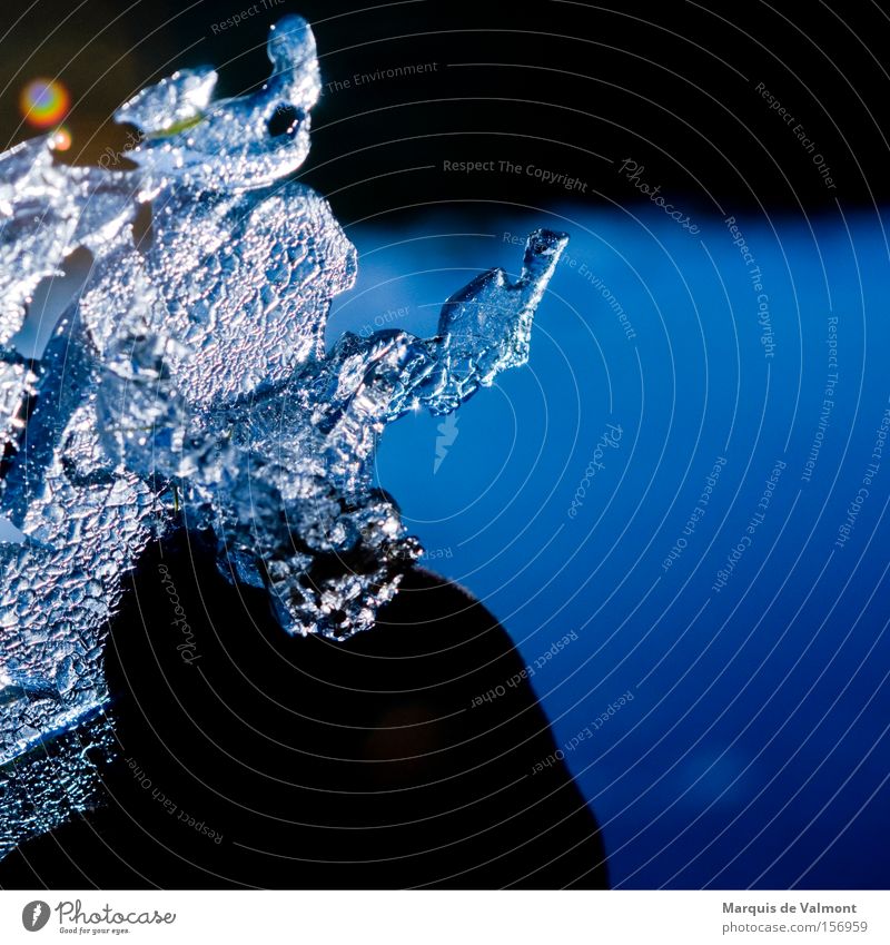 Gefrorene Tränen trocknen erst im Frühling Eis Winter kalt Gegenlicht Reflexion & Spiegelung Wasser Kristallstrukturen bizarr Strukturen & Formen Makroaufnahme