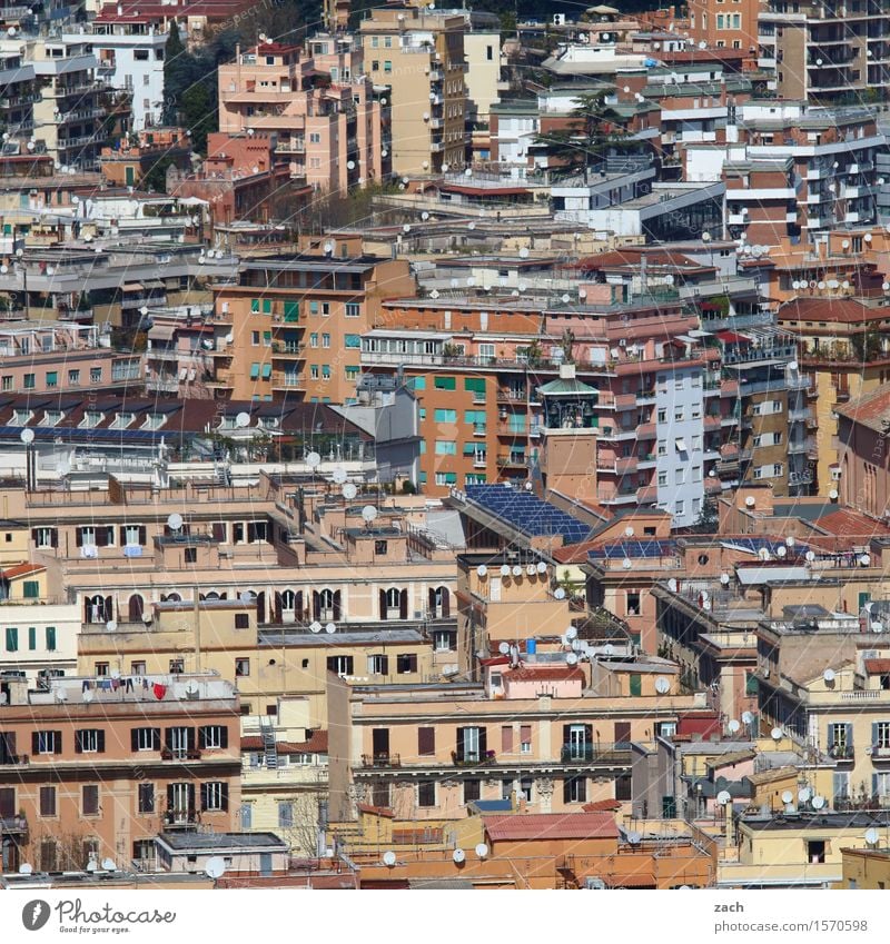 100 Leben Städtereise Rom Italien Stadt Stadtzentrum Altstadt überbevölkert Menschenleer Haus Gebäude Architektur Mauer Wand Treppe Fassade Balkon Terrasse