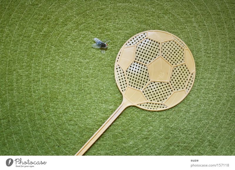 Freistoß Ballsport Fußball Wiese Fliege 1 Tier Kunststoff lustig grün Teppich Insekt Dekoration & Verzierung Fliegenfalle fliegenklatsche Kreativität