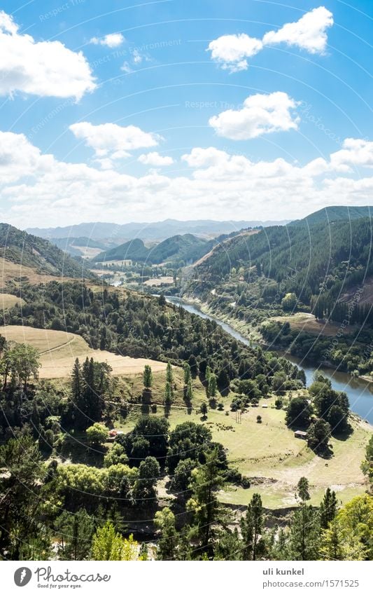 Whanganui River Road Ferien & Urlaub & Reisen Tourismus Ausflug Abenteuer Ferne Freiheit Sommer Berge u. Gebirge wandern Natur Landschaft Pflanze Luft Wasser