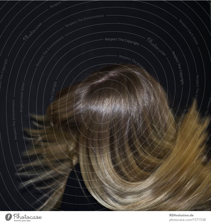 Carina . schüttel Dein Haupthaar Mensch feminin Junge Frau Jugendliche Erwachsene Haare & Frisuren 1 18-30 Jahre blond langhaarig Bewegung fliegen