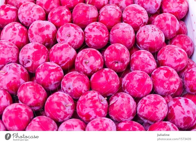 Frische rote Pflaume des Hintergrundes Frucht Vegetarische Ernährung frisch süß Beeren Lebensmittel Gesundheit roh organisch Farbfoto