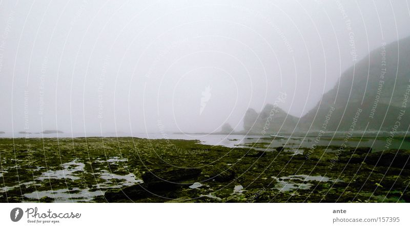 Nebelbucht Neuseeland Bucht schlechtes Wetter unheimlich mystisch Meer Klippe Strand Küste spukhaft