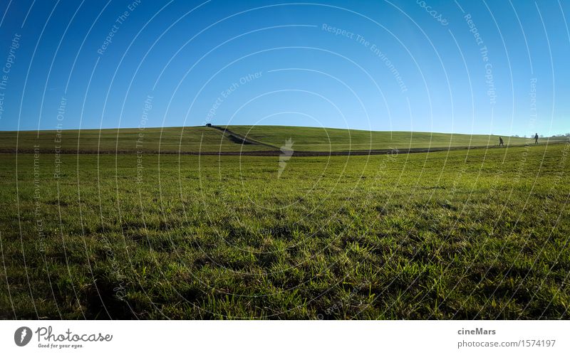 2 Menschen in weiter Wiesenlandschaft Ferne wandern Natur Landschaft Wolkenloser Himmel Sommer Schönes Wetter Gras Hügel gehen laufen Blick Wachstum ästhetisch