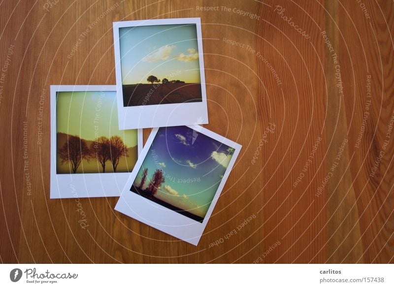 Dreierfinalisierung mit mir selbst Fotografie Erinnerung Fettfinger falsches Polaroid Fotosammlung sammeln und sortieren Erinnerungsstücke