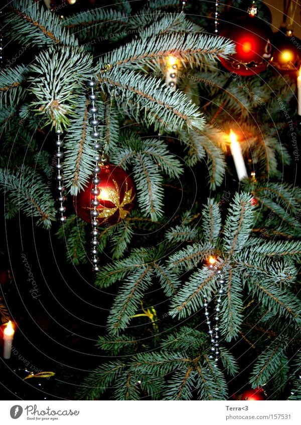 5. Advent Weihnachten & Advent Weihnachtsbaum verschlafen Dekoration & Verzierung Kerze Lichterkette Perle Kugel Christbaumkugel Weihnachtsdekoration Tanne grün