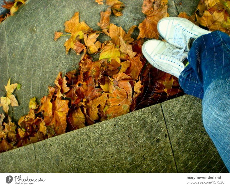herbstzeitlosigkeit Farbfoto Glück Herbst Wärme Blatt Jeanshose Schuhe Denken braun weiß gemütlich Fußportrait