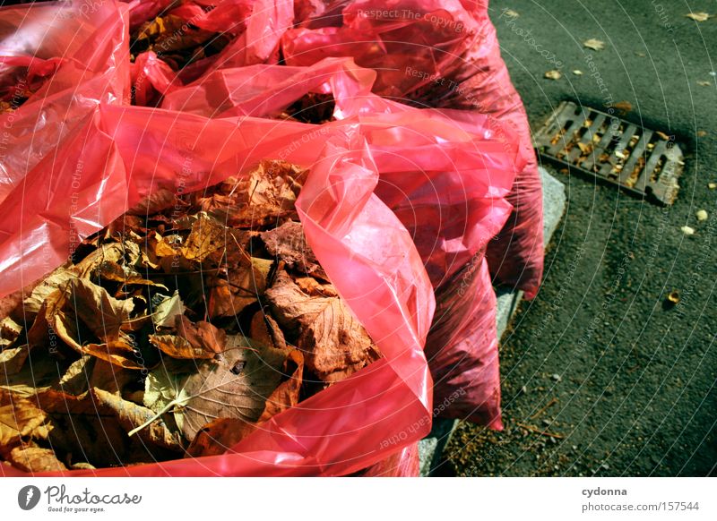 Bereitgestellt Herbst Blatt mehrfarbig Jahreszeiten Vergänglichkeit Natur Leben Tod Tüte Kunststoff Verpackung Ferne Müll wertlos obskur beseitigung