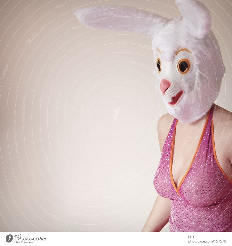 Wie der Hase zu seinem Oster-Job kam Hase & Kaninchen Osterhase Ostern Karneval verkleiden Tier weiß lustig rosa Frau Ohr Maske Kostüm freizügig Freude