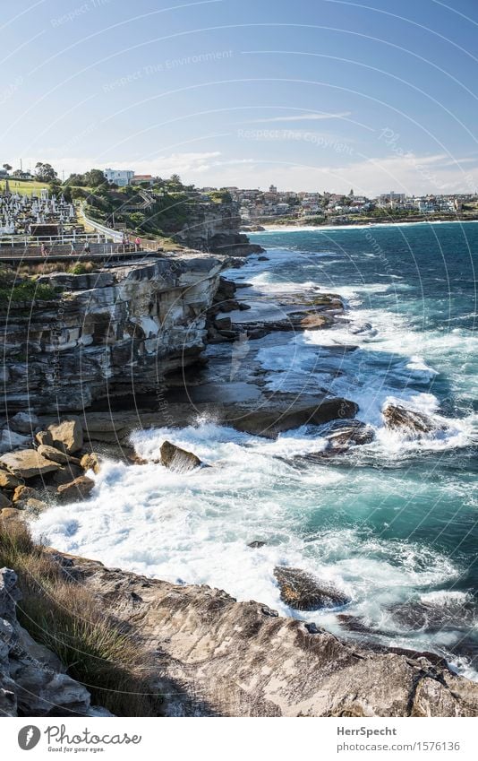 Clovelly to Bronte Ferien & Urlaub & Reisen Tourismus Ausflug Ferne Städtereise Natur Landschaft Sommer Wellen Küste Bucht Riff Meer Pazifik Sydney