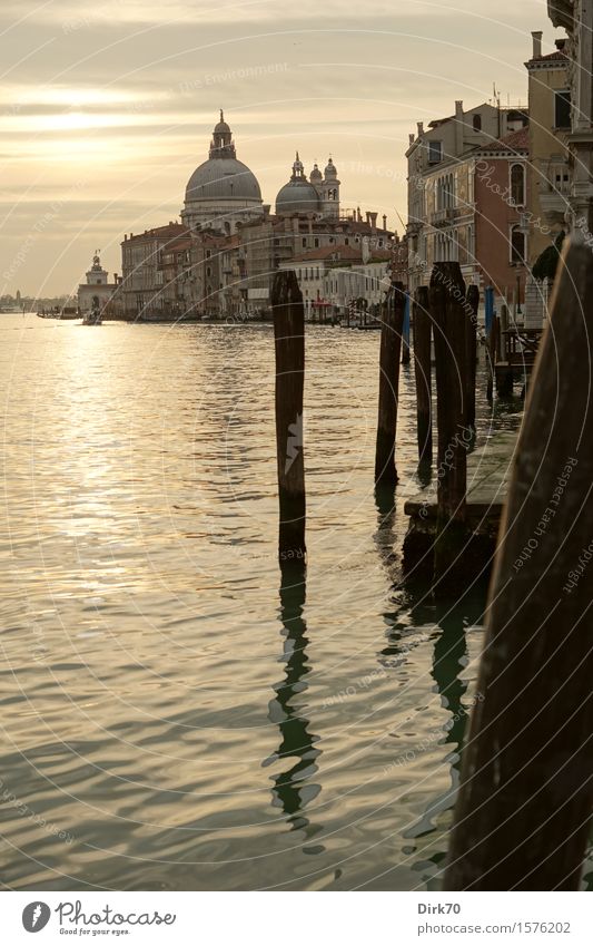 Venedig-Klassiker, Hochformat Ferien & Urlaub & Reisen Tourismus Sightseeing Städtereise Kreuzfahrt Wasser Wolken Frühling Schönes Wetter Küste Italien Veneto