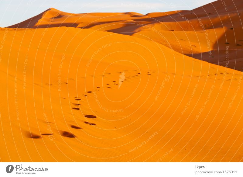 alte Wüste Ferien & Urlaub & Reisen Abenteuer Safari Sonne Natur Landschaft Sand Wärme Dürre heiß gelb rot Einsamkeit Afrika Afrikanisch arabisch trocken