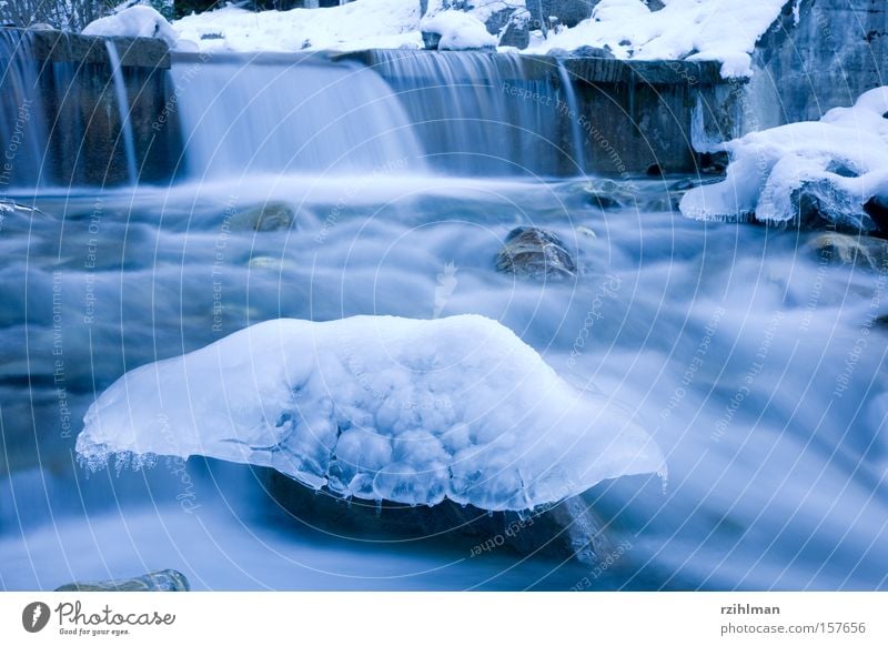 Flusspilz Eis Eisskulptur Strukturen & Formen frisch Frost kalt Natur Skulptur bewegungslos gefroren Bach