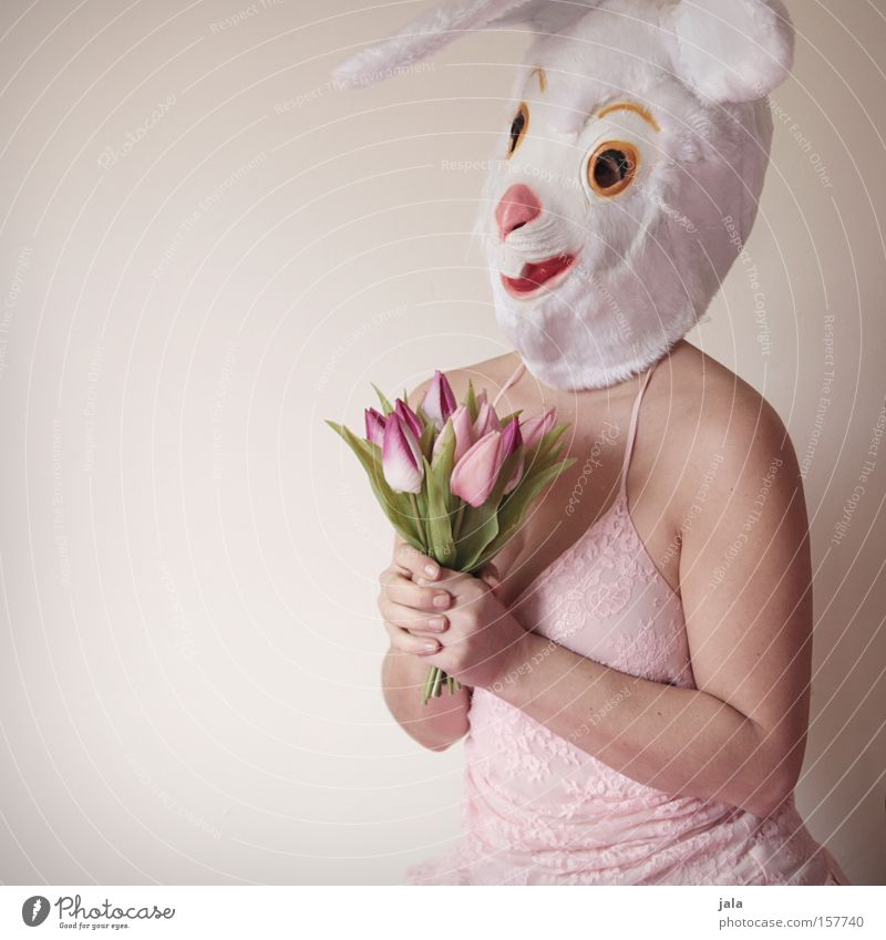 Blumen? Für mich? Hase & Kaninchen Osterhase Ostern Karneval verkleiden Tier weiß lustig Frau Ohr Liebe Maske Kostüm Freude