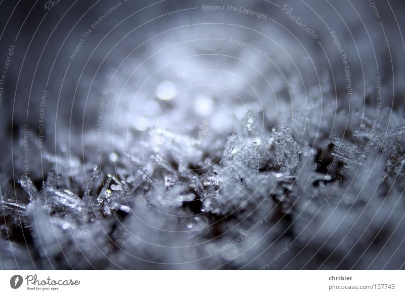 Eis für alle! *50* Winter Eiskristall Raureif Kristalle Frost kalt Schnee gefroren Makroaufnahme frieren Nahaufnahme chribier