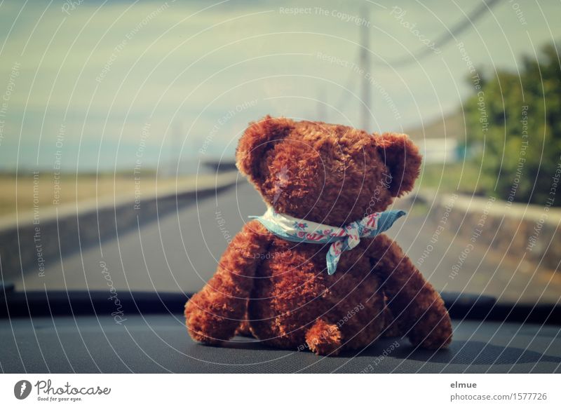 Teddy Per macht Urlaub (7) Autofahren Straße Spielzeug Teddybär Stofftiere Blick sitzen Glück kuschlig Freude Fröhlichkeit Lebensfreude Neugier Fernweh