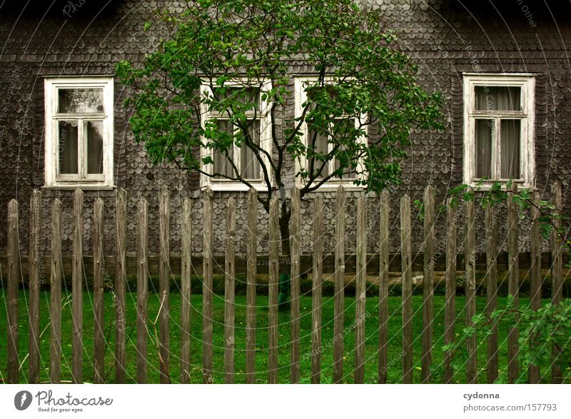 Heimatromantik Haus Fenster Baum Garten Zaun altmodisch Symmetrie Gardine Zeit Vergänglichkeit Leben grün Wiese Romantik Detailaufnahme schiefern