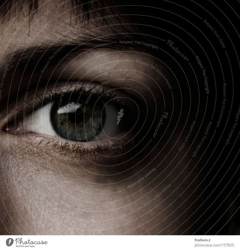 Spooky eyeball dunkel Reflexion & Spiegelung Gesicht Wange Schatten schwarz Angst Klarheit Innenaufnahme Makroaufnahme Nahaufnahme Auge Haare & Frisuren