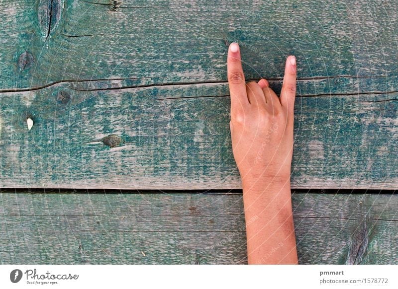 vulgär mit einem Handzeichen gemacht Schule Mensch Mädchen Junge Frau Erwachsene Mann Finger Baum Ring Holz Zeichen alt braun grün schwarz weiß dumm Trägheit
