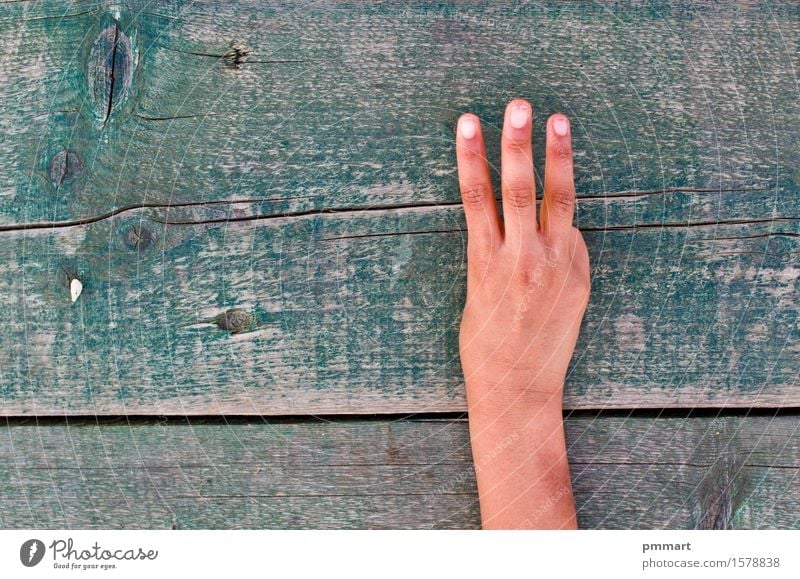 Hand, Zahlen und Holz Bildung Schule Business Mensch Finger Zeichen alt braun kaufen Handel fluchen Index Mitte zeigen gestikulieren Beautyfotografie