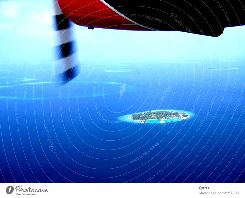 Air Taxi IV Wasserflugzeug Malediven Insel Meer Atoll Riff Flugzeug Ferien & Urlaub & Reisen Indischer Ozean exotisch fliegen Luftverkehr Asien Inselwelt