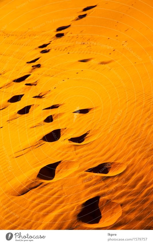 Düne in der Sahara-Marokko-Wüste schön Ferien & Urlaub & Reisen Tapete Natur Landschaft Sand Schönes Wetter Urwald Hügel heiß braun gelb Einsamkeit Idylle wüst