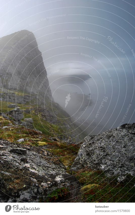mystische Küste Natur Landschaft Pflanze Erde Wasser Wolken Sommer schlechtes Wetter Nebel Felsen Berge u. Gebirge Meer Insel "Lofoten Vaeroy,Norwegen"