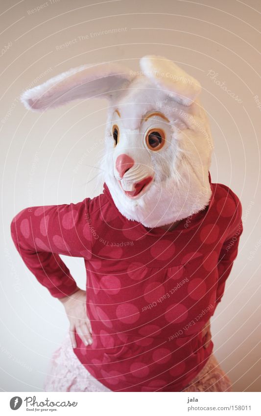 Schwing die Hüfte, Hasi Hase & Kaninchen Osterhase Ostern Karneval verkleiden Tier weiß lustig Frau Maske Kostüm Tanzen Freude