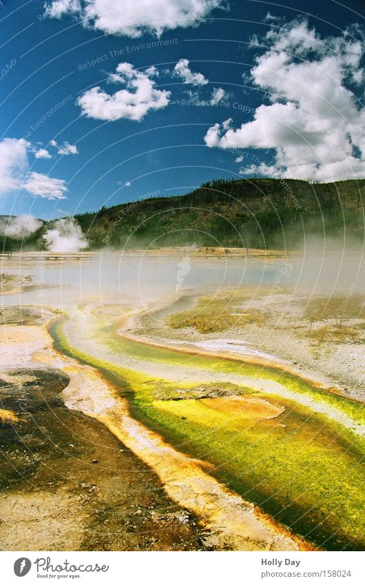 Ich sehe bunte Bilder heiß Geysir Explosion Nationalpark Wasserdampf Wolken Abfluss See mehrfarbig Park Vulkan USA Sommer Yellowstone Nationalpark Farbe Rauch