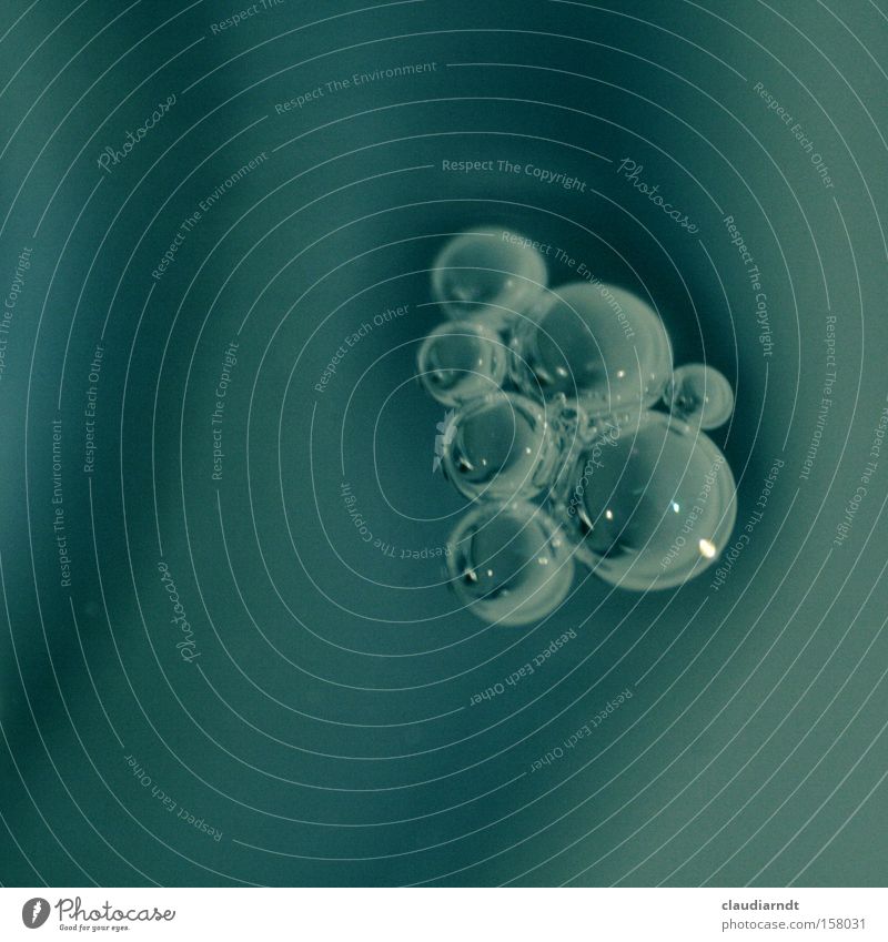 Schäumchen Blase Luftblase Schaum Bad Wasser Zusammenhalt Körperzelle kleben schäumen Tenside