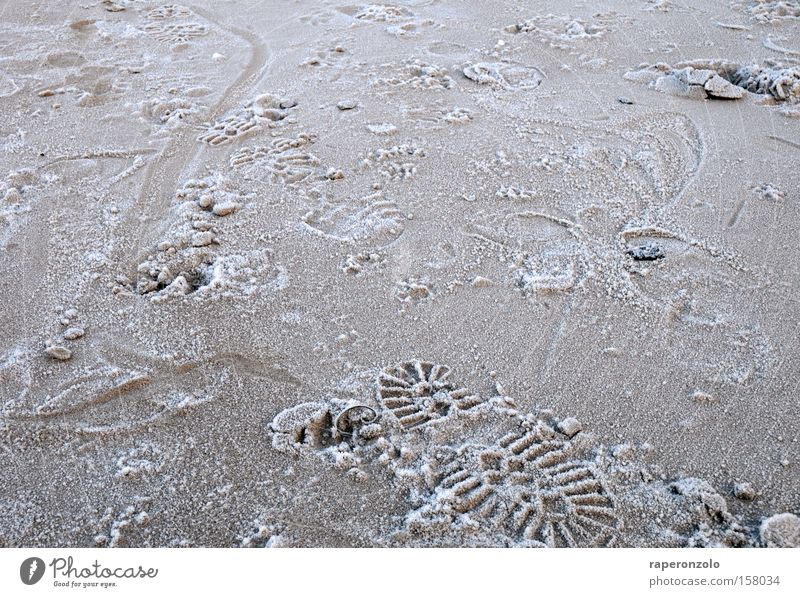 eindruck hinterlassen Winter Erde Sand Wege & Pfade Fährte Fußspur kalt Reifenprofil Eindruck Spuren Suche schreiten betreten Vergänglichkeit Eis spurenlesen