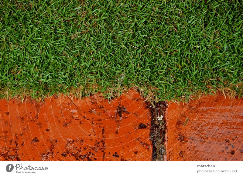 das Rasenstück Gras Backstein Kuba rot grün Kontrast Regen nass Wiese Begrenzung Composing Goldener Schnitt