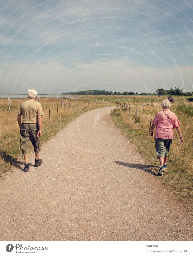 getrennt gemeinsam Mensch maskulin feminin Partner Senior Rücken 2 60 und älter laufen wandern Wege & Pfade Trennung Zusammensein weißhaarig sportlich Farbfoto