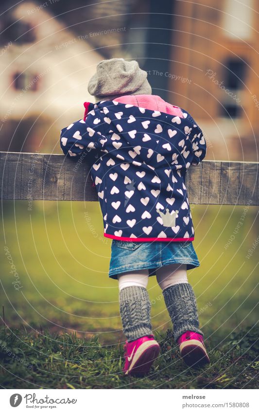 neugierig Kleinkind Mädchen Kindheit 1 Mensch 1-3 Jahre Natur Frühling Schönes Wetter Gras Wiese Mode Strümpfe Freizeitjacke Turnschuh Jeansrock Stulpe Mütze