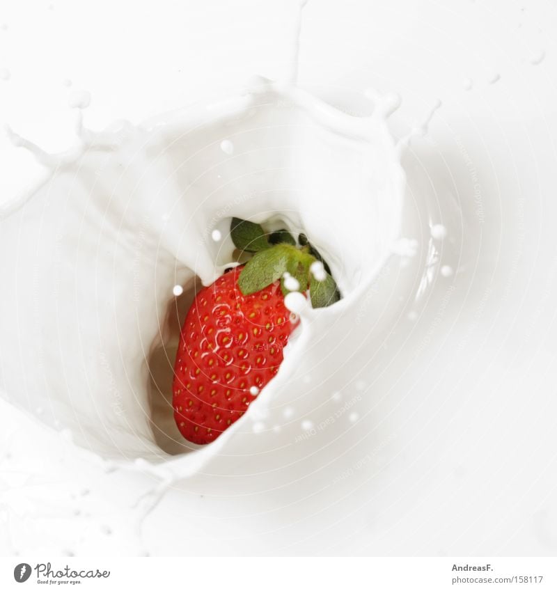 Erdbeershake Milch Erdbeeren Milchshake Milcherzeugnisse Frühstück Gesundheit Ernährung aromatisch Geschmackssinn Tropfen Frucht Joghurt Gastronomie