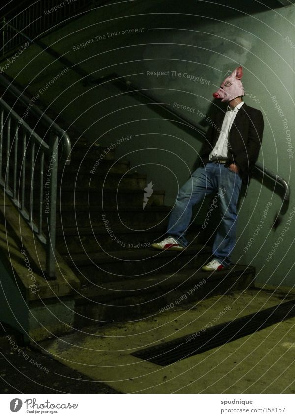 ...mal reden. Körperhaltung Treppe Nacht Schwein Maske Humor lachen Tier Sau Verkehrswege Mann Säugetier Erholung schweinemaske