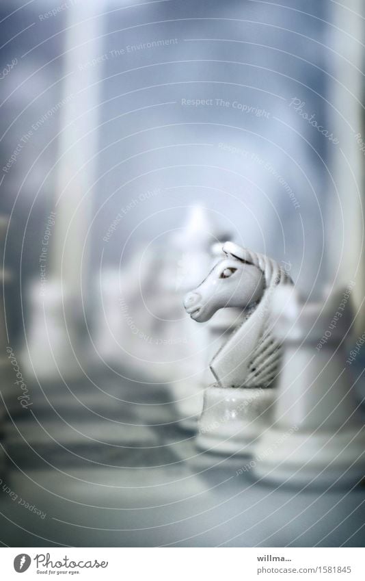 weiße Schachfigur aus Elfenbein, Springer Pferd Brettspiel Schachbrett Springinsfeld staubig verstaubt Nostalgie Chess Freizeit & Hobby Schachspiel