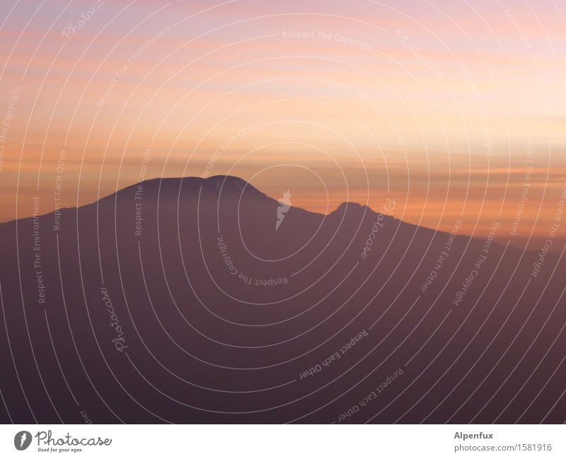 Killimanjaro Sonnenaufgang Sonnenuntergang Berge u. Gebirge Tansania Seven Summit Gipfel Vulkan Afrika Stimmung Optimismus geduldig ruhig träumen Abenteuer