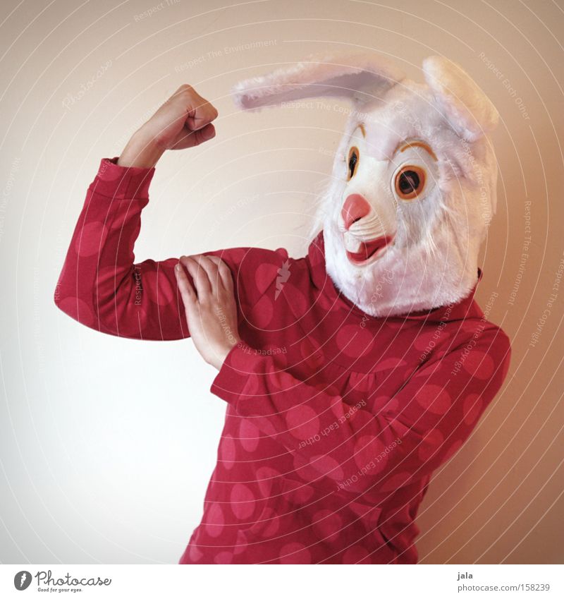 Power-Hase Hase & Kaninchen Osterhase Ostern Karneval verkleiden Tier weiß lustig stark Frau Maske Kostüm Kraft Freude Mensch