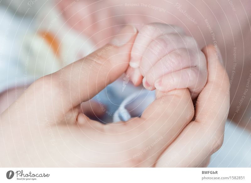 Mutterglück Körperpflege Haut Maniküre Gesundheit Kind lernen Mensch feminin Baby Erwachsene Familie & Verwandtschaft Kindheit Leben Finger 2 0-12 Monate
